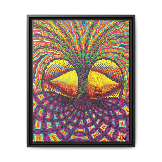 Eye of Torus - Framed Canvas