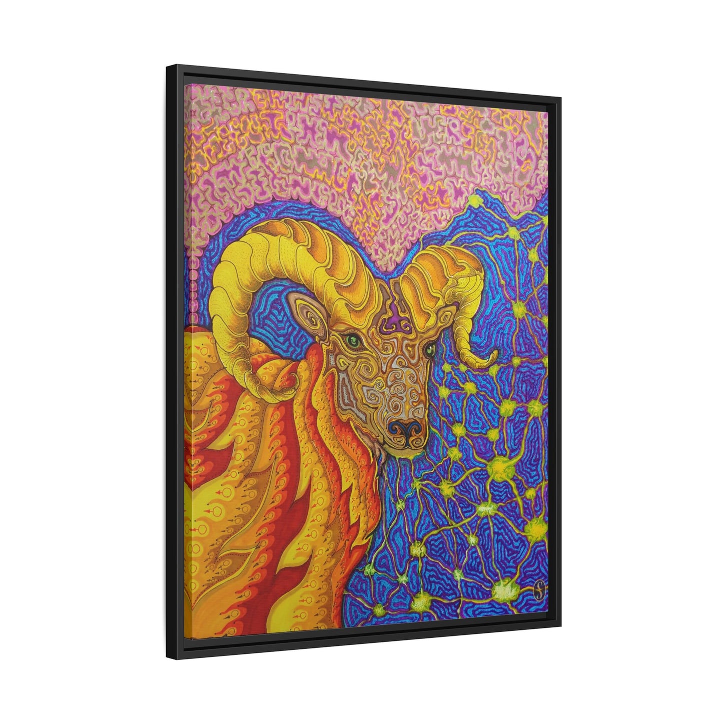 Inflamed - Framed Canvas